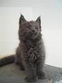 2 mois 